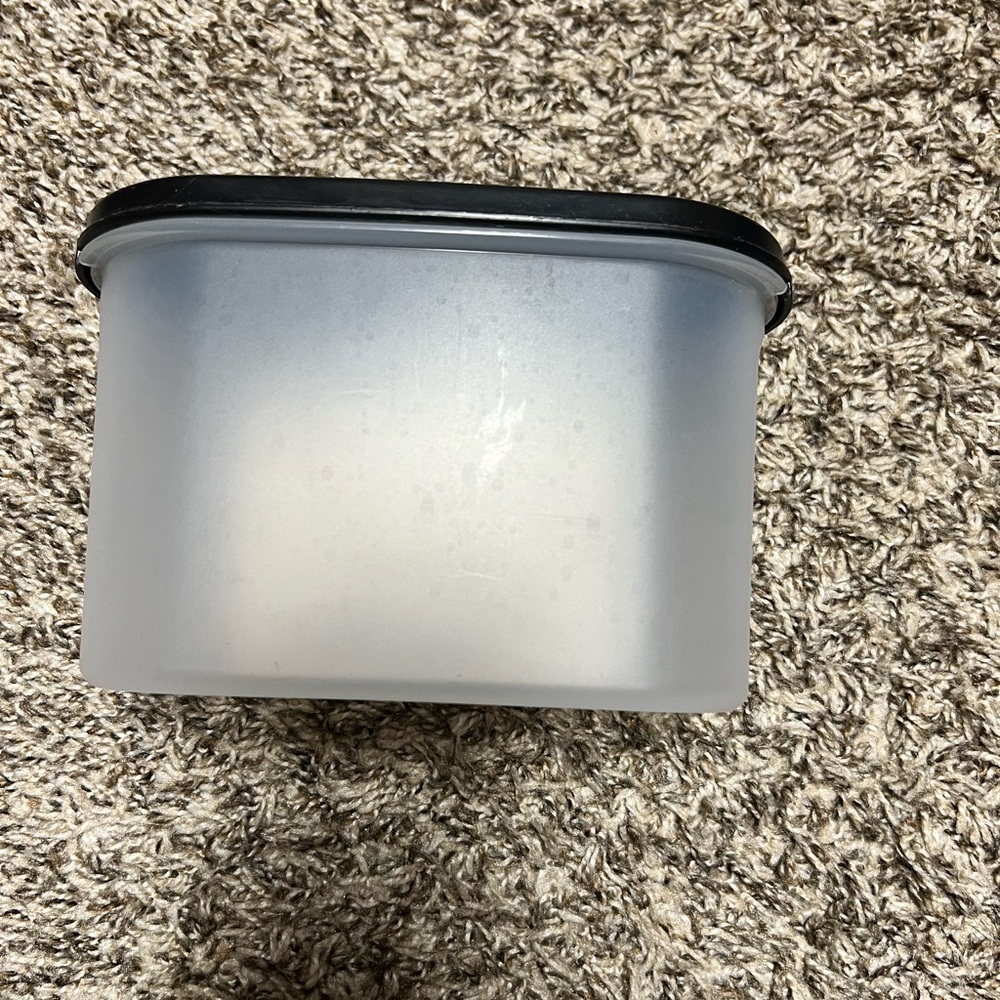 Tupperware Frosted Storage Container with Black Lid
